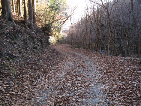 20171207hike (413)